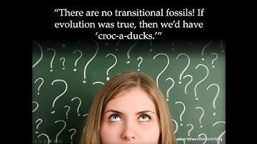 But "There are no transitional fossils!"