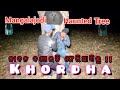 Mangalajodi Haunted Tree Khordha /#srhauntedking