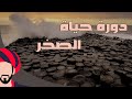 دورة حياة الصخر 