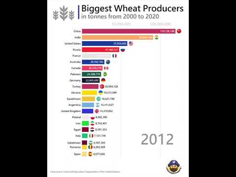 Video: Cereals: value and benefits