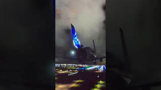 Airbus beluga landing Microsoft flight Sim