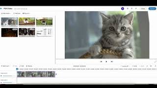 WeVideo Classroom UPDATE