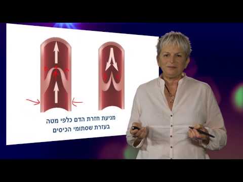 וִידֵאוֹ: האם יש DNA בכלי הדם?