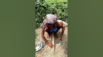 Traditional Way of Sharpening Sickle #shorts