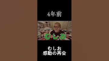 HIKAKIN 4年前に飼ってたむしおと感動の再会 むしお ヒカキン 毛虫 Shorts 