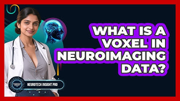 What Is A Voxel In Neuroimaging Data? - Neurotech Insight Pro