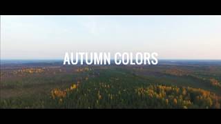 Autumn Colors