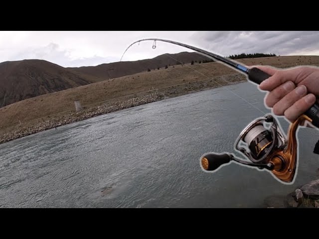 Spin Fishing For BIG Trout In The Canals (New Zealand) 