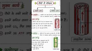 class 10 biology 🧫 important questions #viral #gk #scienceclass9 #education