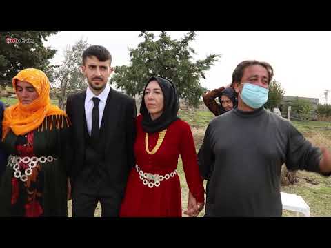 Şevko Halayı Viranşehir | KARACADAĞ AİLESİ | KOMA WELAT