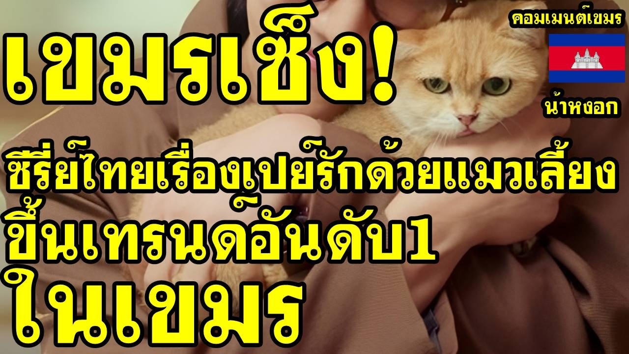 คอมเม้นต์ เขมร เซ็ง ซีรี่ไทยเรื่อง เปย์รักด้วยแมวเลี้ยง ขึ้นเทรนด์อันดับ1ในเขมร