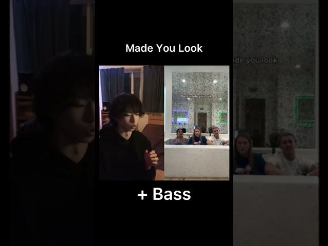 Made You Look - Tiktok duet - BassSinger class=