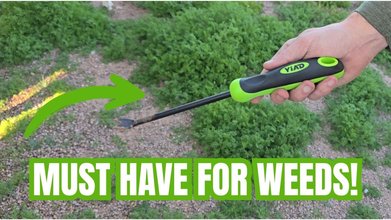 Does this Weed Puller Tool Work?