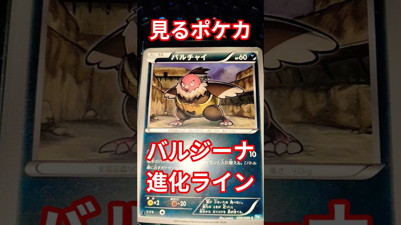 見るポケカバルジーナ進化ライン #ポケモンカード #ポケカ再販最新情報 #ポケカ再販最新情報 #pokemon#pokemoncards #見るポケカ