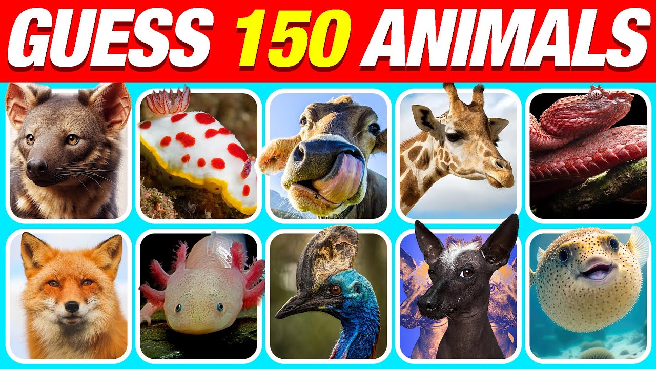 Guess 150 Animals in 3 Seconds🐒🐱🐰 Easy, Medium, Hard, Impossible Levels ...