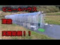 ビニールハウスの総額公開！