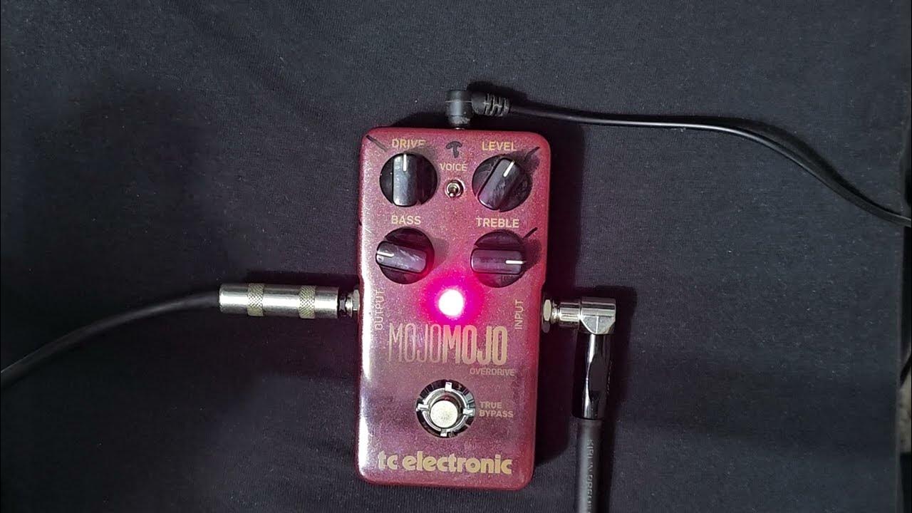 TC Electronic MojoMojo Overdrive & Fender Tone Master Twin Reverb Amp
