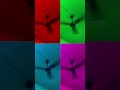 Crazy Color Fan Effect 🤩🔥 #shorts