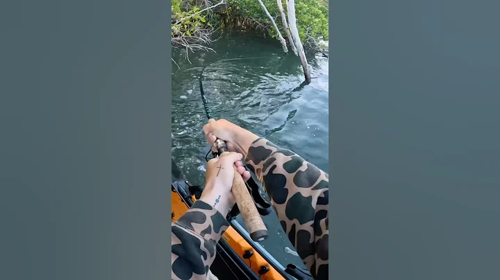 Big Snook HAMMERS Topwater!