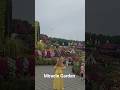 Dubai Miracle Garden #travel #dubai #отдых #путешествия #miraclegarden