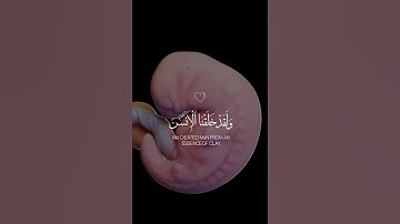 وَلَقَد خَلَقنَا الإنسَان مِن سُلَالَةٍ مِّن طِين | القارئ ياسر الدوسري #تلاوة_هادئة