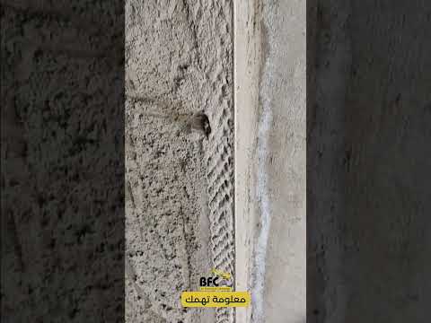 معلومة تهمك 23 الزوايا الفريسبيكو