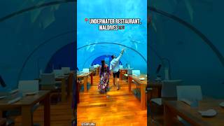 Restaurants On Earth That Don’t Feel Real Pt.3  #Shorts #Travel #Restaurant