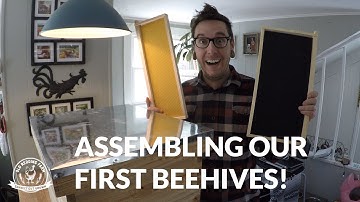 ASSEMBLING A BEEHIVE FROM AMAZON!