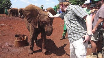 Regis College: Bring Your Purpose, Find Your Path