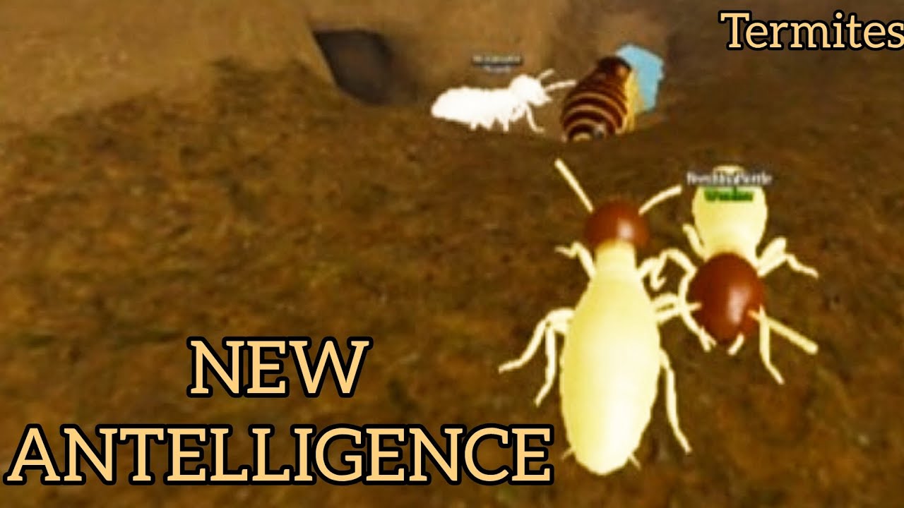 I Found New Kingdom Of The Termites Gameplay Roblox 