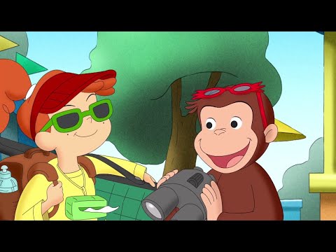 ⁣George and Allie's Game Plan 🐵Curious George 🐵Kids Cartoon 🐵Kids Movies 🐵Videos for Kids