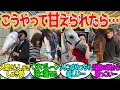 強くて穏やかで人懐っこいお馬さんは好きか？に対するみんなの反応！【競馬 の反応集】