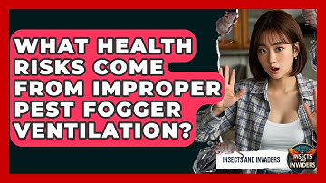 What Health Risks Come From Improper Pest Fogger Ventilation? - Insects and Invaders