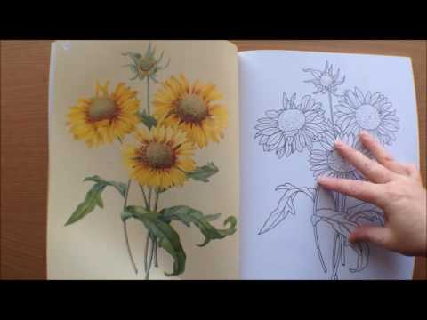 Colouring