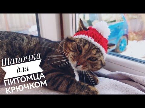 Шапочка крючком для кота или маленькой собачки / Crochet hat for a cat or dog