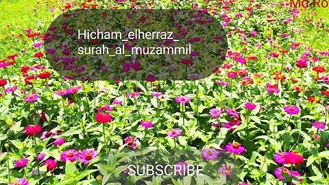 Hicham elherraz surah al muzammil hafs هشام الهراز سورة المزمل برواية حفص
