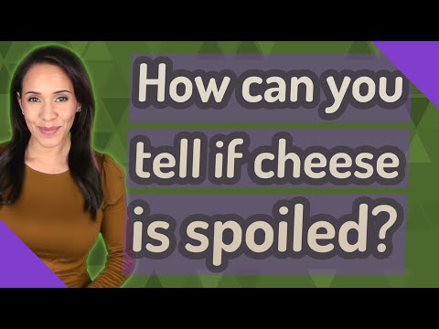 How can you tell if cheese is spoiled?