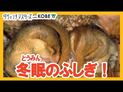 生き物のふしぎ！ 冬眠って何だろう？