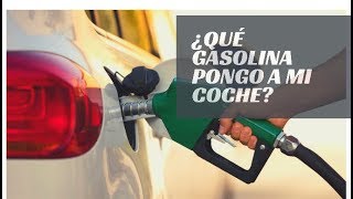 ¿Qué GASOLINA pongo a mi coche?