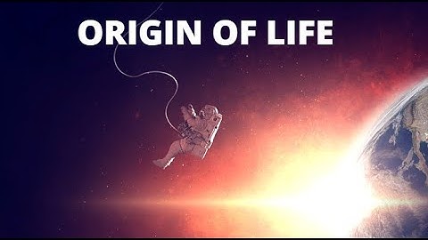 Origin Of Life: Where Did Life Come From?