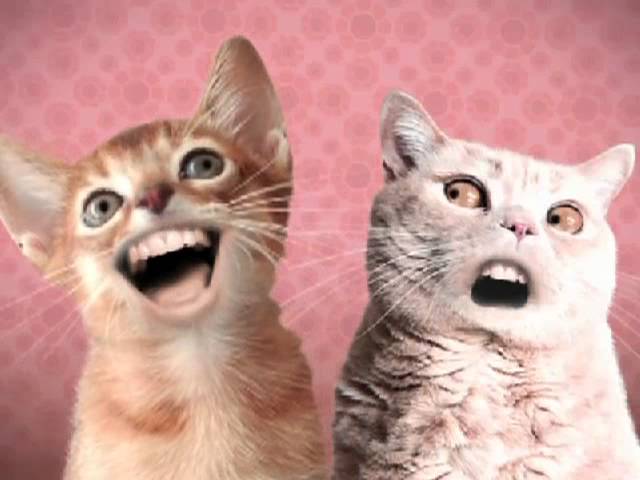 Animated Spoof Music Video: Numa Cat class=