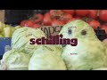 Schilling 2012: Kapsa teekond T 26.06 ETV2-s Mp3 Song