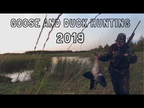 HANHI- JA SORSAJAHTI 2019 | GOOSE AND DUCK HUNTING IN FINLAND 2019 | Full video