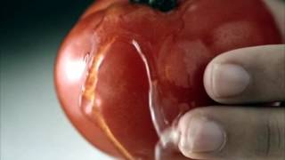 Gazi̇ Friends I 2006