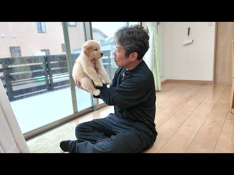 病気の治療開始と決意。皆さんに大切なお願いがあります。【Golden Retriever japan】