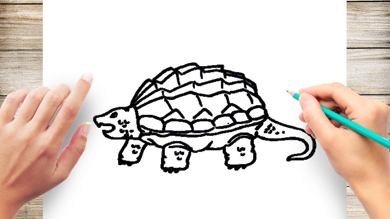 How to Draw a Snapping Turtle Step by Step - YouTube