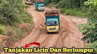 Sopir Truk Sawit Unjuk Skil Dan Tenaga Truk Masing masing Di Tanjakan Licin Dan Berlumpur