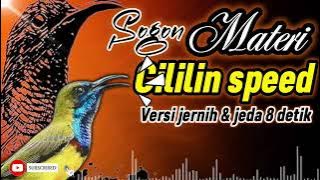 MASTERAN SOGON CILILIN SPEED VERSI JERNIH JEDA 8 detik! #sogon #sogongacor #sogokontong
