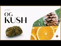 OG Kush Fleur De CBD mp3