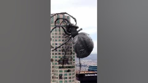 Monster Spider ! Mega Spider🕷️🕷️🕷️🕷️🕷️🕷️🕷️🕷️🕷️🕷️ Big Ass Spider Hollywood #shorts